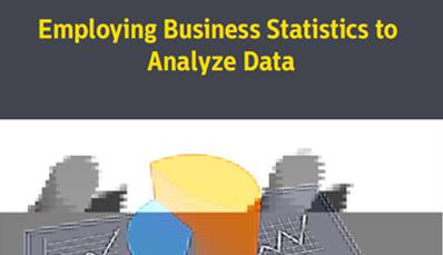 Employing Business Statistics